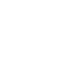 Skaler Logo
